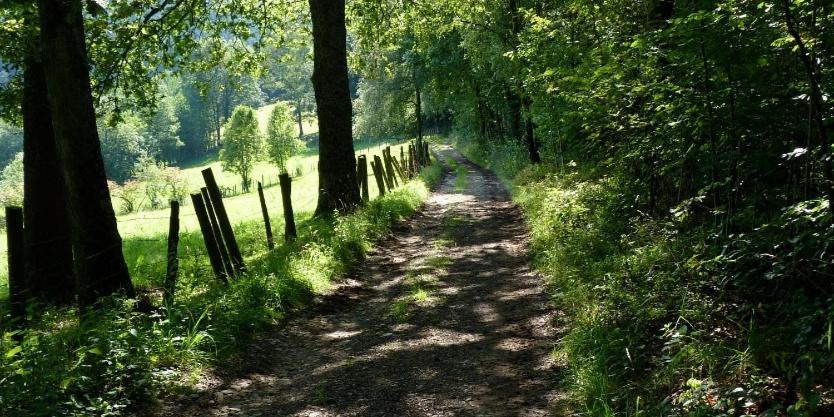 Le Val Du Vieux Chene Chambre D'Hotes Walcourt ภายนอก รูปภาพ